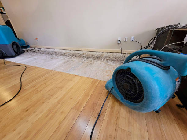 Professional Basement Flood Cleanup technician working in Le Roy, IL